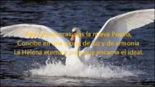 Video PLC CÁNOVAS  Mayo 2017