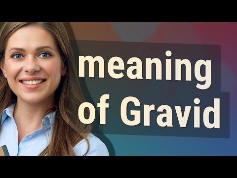 Gravid | meaning of Gravid