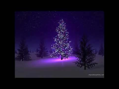 Andris Daņiļenko: Ziemassvētku nakts