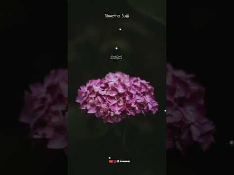 feeling song kannada 😔💔|| kannada whatspp stetus || O Ho Chandrama song stetus #kannada