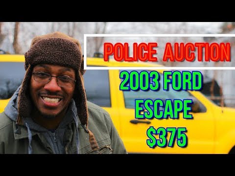 download lagu mp3 mp4 Detroit Police Auto Auction, download lagu Detroit Police Auto Auction gratis, unduh video klip Detroit Police Auto Auction