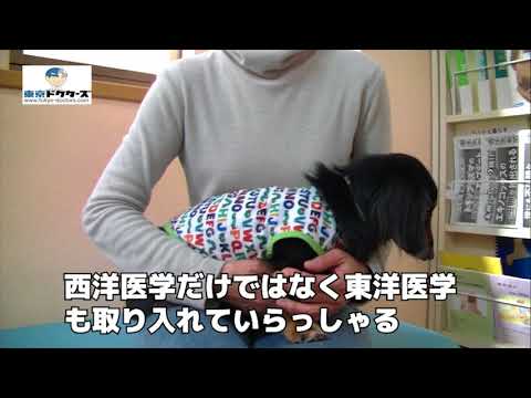 飼い主女性の声