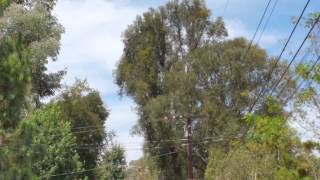 What To Do To Your Property To Save Yourself From Fire (Part1)