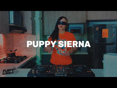 SET GUARATECH🔥 PUPPY SIERNA 🚀NAVEGANDO EN LA KITCHEN VOL 2 #guaratech