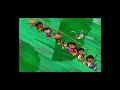 Little Einsteins Dora The Explorer Go Diego Go Al Rescate