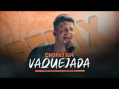 CHOREI NA VAQUEJADA - Nadson O Ferinha | TECNO-MELODY | By. Fabiano Tailandense [ REMIX ]