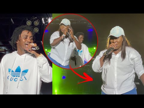Concert Wally Seck guédiawaye Ndiolé Tall explose la scène avec une nouvelle Son du jamais vue