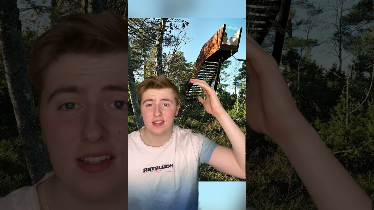 If You Ever See A Staircase In The Woods, Run FAST #Shorts