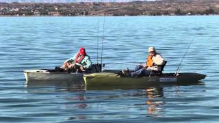Southwest Stories: The Road to Havasu