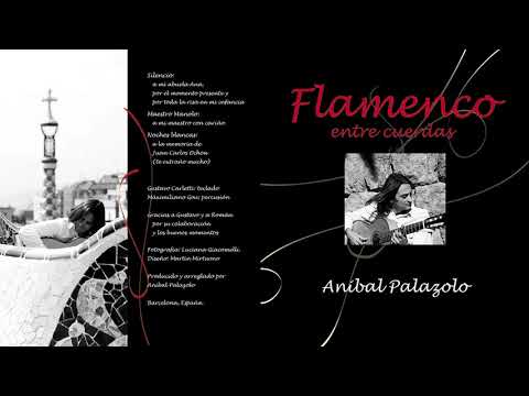 01 - El extranjero (jaleo) - Anibal Palazolo ("Entre cuerdas" 2008)