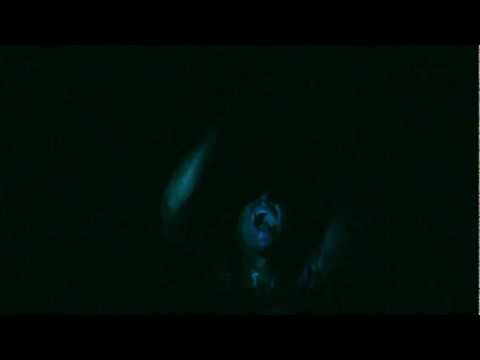 Barbaariset bakkanaalit 2012