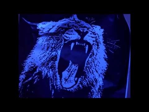 Titanium vs. Rattle vs. Cannonball vs. Animals (Keviiney Bootleg)