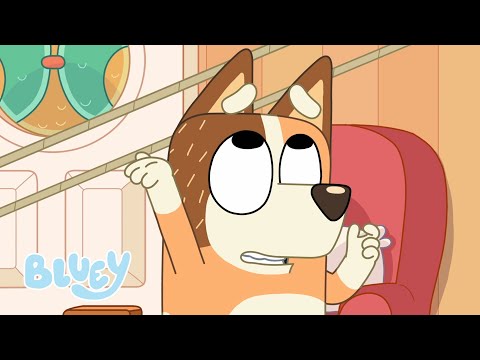 Sticky Gecko | Bluey Season 2 | Bluey