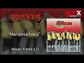 Grupo Innovacion-Mariposa Loca