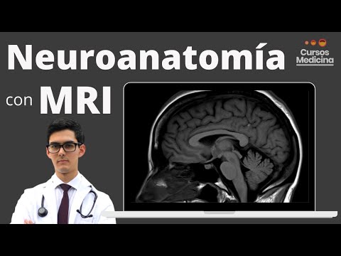 Curso de Neuroanatomía Básica con Resonancia Magnética Cerebral