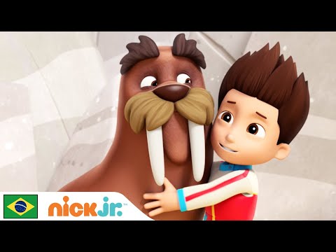 Capa de Patrulha Canina | Patrulha Canina Salva a Surpresa | Nick Jr. em Português