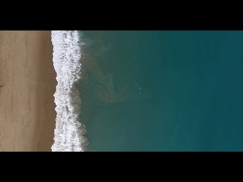 02) FI GAMA - Panda feat. Phyrosun (Produced by FI GAMA)