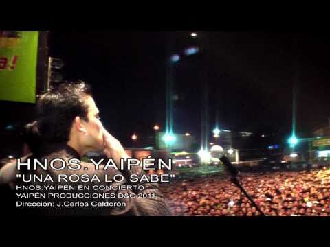 Hermanos Yaipen - Una Rosa Lo Sabe (Video Promocional)