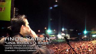Una Rosa Lo Sabe Music Video