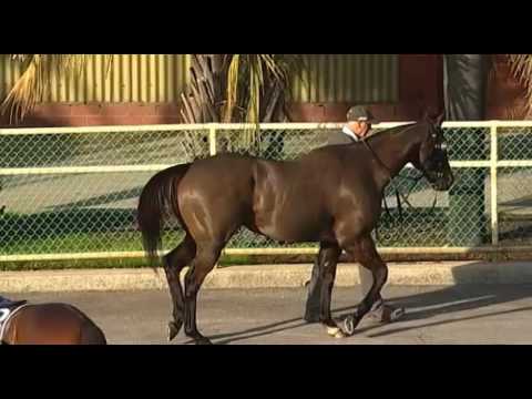 Belmont Park, 06/07/2016 - Race 6 - RIVERBEND COWBOY - Jarrad Humphries