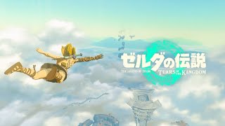 やはり追い剥ぎから始まる神ゲーついに始めました『ゼルダの伝説ティアーズオブキングダム』The Legends Of ZELDA Tears Of Kingdom