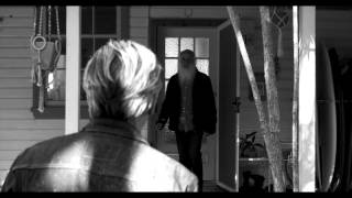 MT WARNING "Youth Bird" - Unofficial Music Video