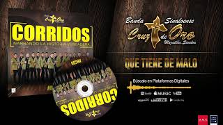Que Tiene de Malo Music Video