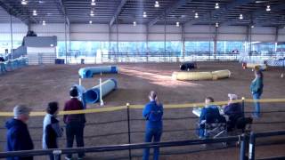 Cranberry Slinky Challenge February 13 2016