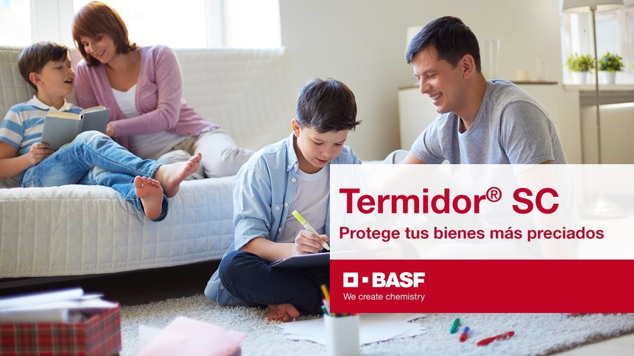 Termidor® SC, protege de las termitas tus bienes más preciados