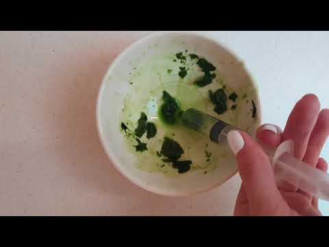 estrazione della clorofilla e cromatografia su carta, 1 scientifico