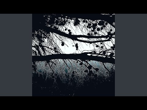 video frame placeholder