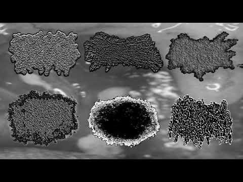 6 WAY HARSH VOMITNOISE SPLIT