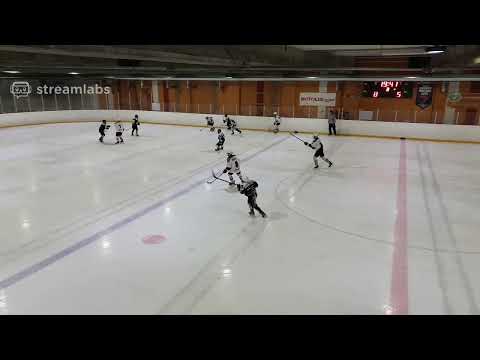 D2 AAA jatkosarja / JYP Musta - S-Kiekko Musta / HH1 1.2.2020 klo 11:30