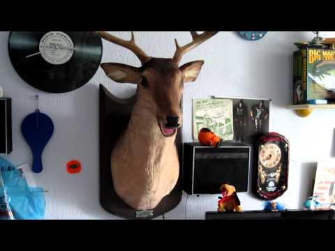 Buck The Singing Deer