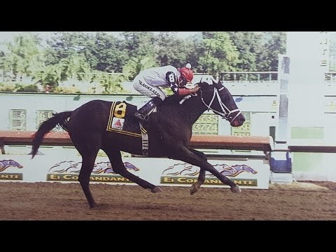 HAPPY TRAILS - Copa Invitacional de Importados CITGO 2004