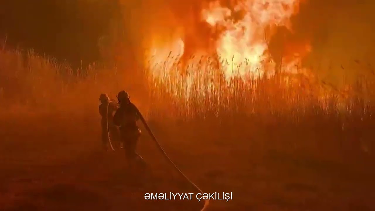 Naxçıvanda açıq ərazidə yanğın olub VİDEO