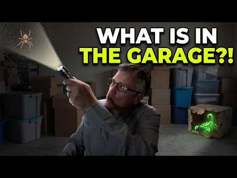The Holiday Scorpion Surprise: Why We Treat Your Garage