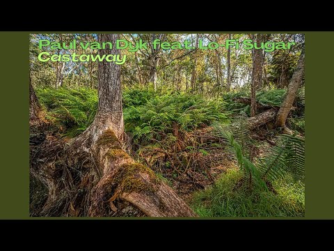 Paul van Dyk feat. Lo-Fi Sugar - Castaway