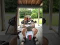 Magnetic Plate-Mate add on weights to Hex 100’s - Save $$$