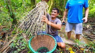 Unseen SUPERFOOD in Amazon Jungle - Real Way to Eat AÇAÍ (You’ll Be Surprised) in Belém, Brazil!