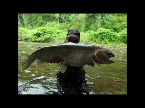 download lagu mp3 mp4 Vesdre, download lagu Vesdre gratis, unduh video klip Vesdre