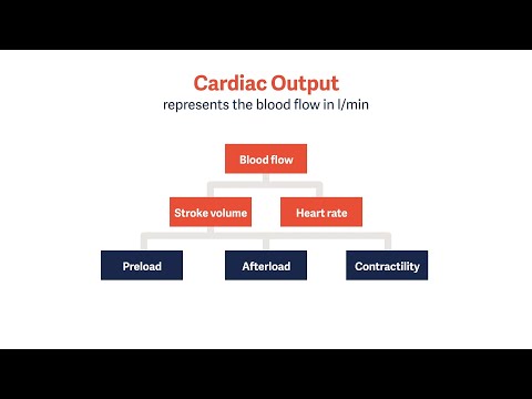 Advanced Hemodynamic Monitoring. Blood Pressure and Beyond - From Cardiac Output to Pulmonary Edema.