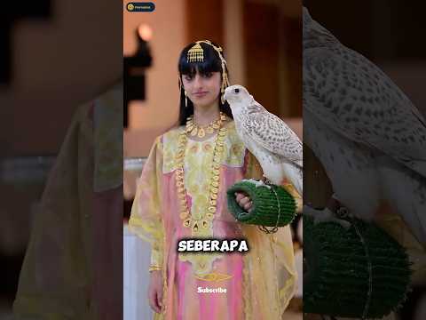 Aset Terbang Seharga Rp 6 Miliar 🦅