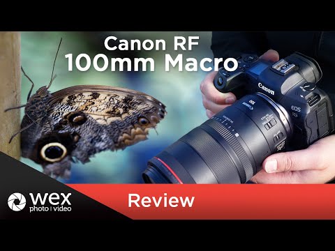 Canon RF 100mm f2.8 Macro Lens | Review