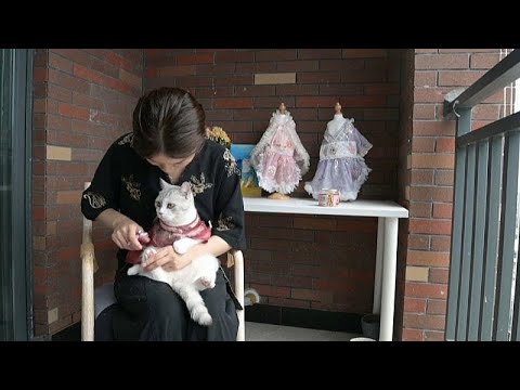 شاهد.. أزياء حيوانات مقتبسة من التراث الصيني وسعر القطعة قد تصل 70 دولاراً…