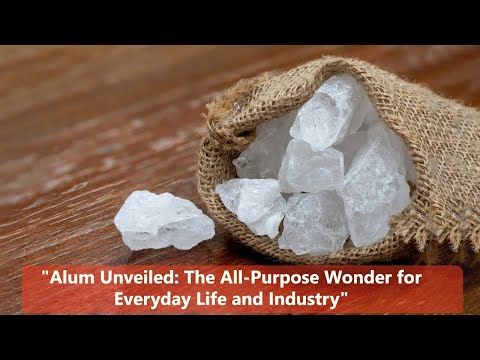 What is alum used for