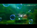 Raat Ke Show Ki 2 Tikte He WhatsApp Status