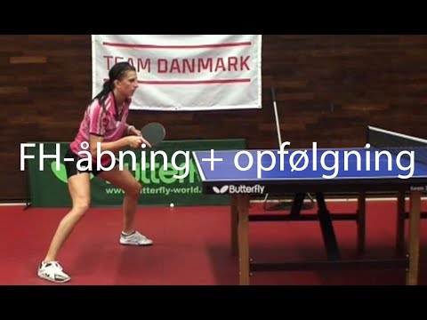 8 Mie Skov   Fh åbning+opfølgning