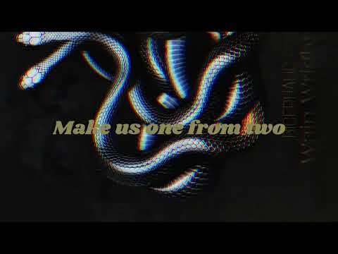 Bicephalic - Wain Wright (Lyric Video)
