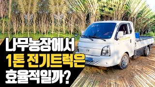 나무농장에서 1톤 전기트럭은 효율적일까 | 나무대장???? 나…